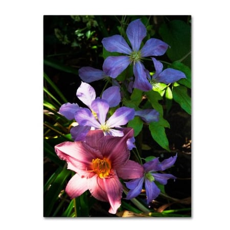 Kurt Shaffer 'Clematis And Lily' Canvas Art,18x24